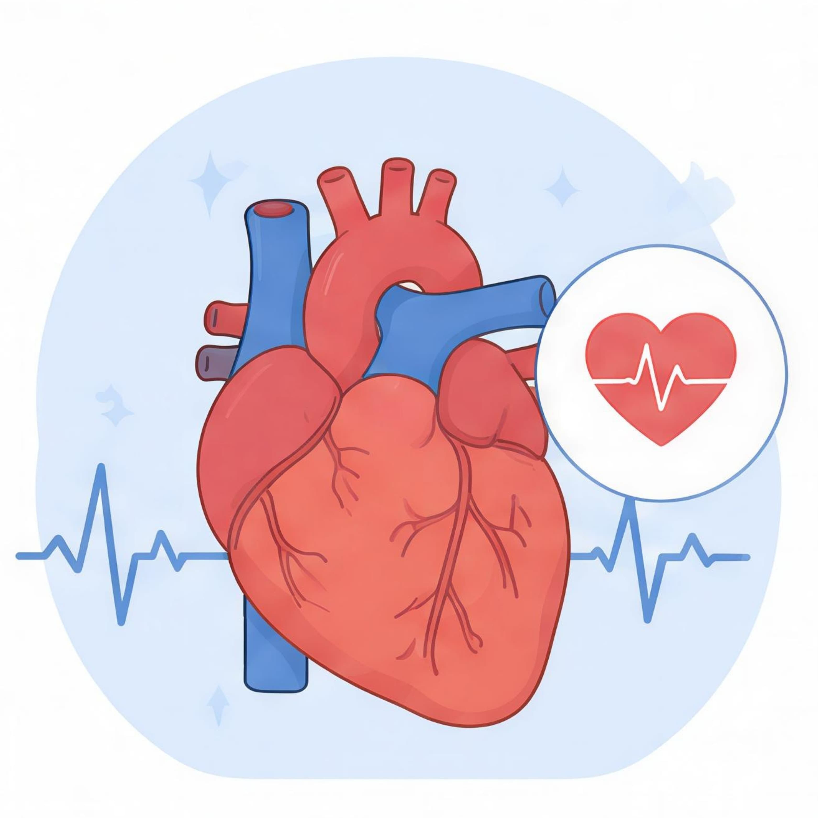 Heart
