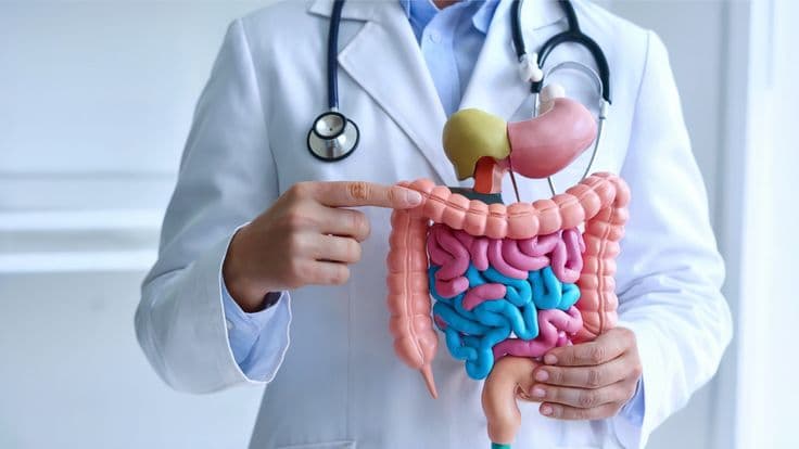 Gastroenterologist